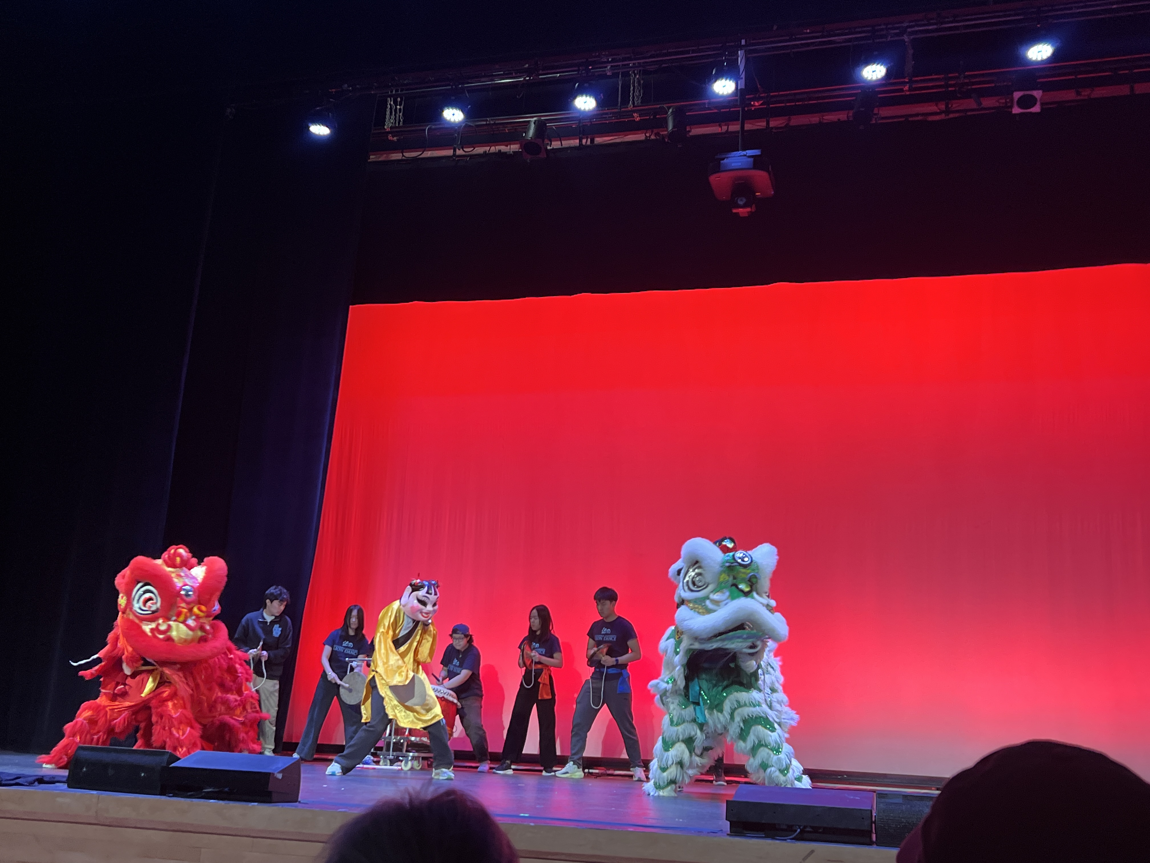 Lion Dance Training
